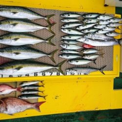 火遠理丸(ほおりまる) 釣果