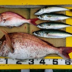 火遠理丸(ほおりまる) 釣果