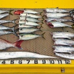 火遠理丸（ほおりまる） 釣果