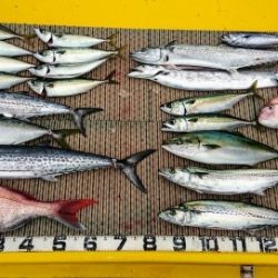 火遠理丸（ほおりまる） 釣果