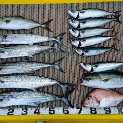 火遠理丸（ほおりまる） 釣果