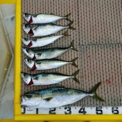 火遠理丸（ほおりまる） 釣果