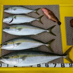 火遠理丸(ほおりまる) 釣果