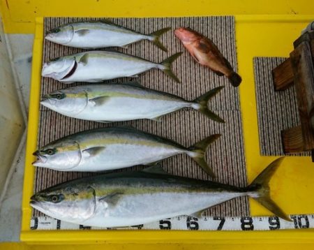 火遠理丸(ほおりまる) 釣果