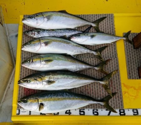 火遠理丸(ほおりまる) 釣果