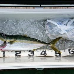 火遠理丸(ほおりまる) 釣果