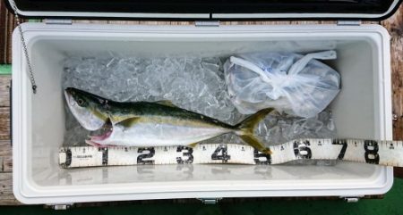 火遠理丸(ほおりまる) 釣果