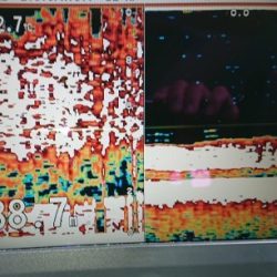 火遠理丸(ほおりまる) 釣果