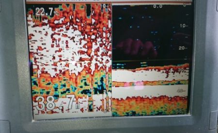 火遠理丸(ほおりまる) 釣果