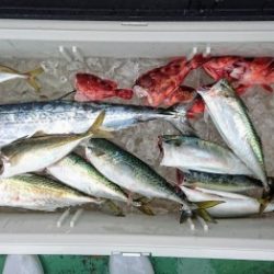 火遠理丸（ほおりまる） 釣果