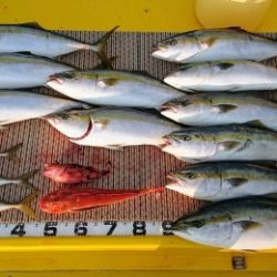 火遠理丸(ほおりまる) 釣果