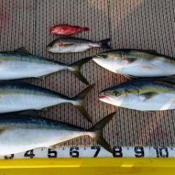 火遠理丸(ほおりまる) 釣果