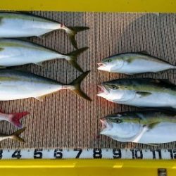 火遠理丸(ほおりまる) 釣果