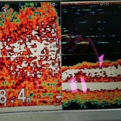 火遠理丸(ほおりまる) 釣果