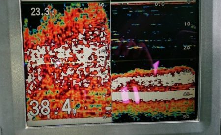 火遠理丸(ほおりまる) 釣果