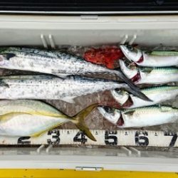 火遠理丸(ほおりまる) 釣果