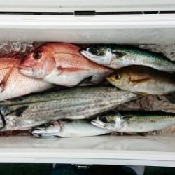 火遠理丸(ほおりまる) 釣果