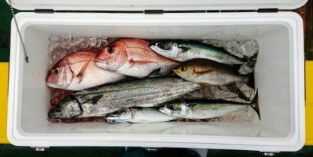 火遠理丸(ほおりまる) 釣果