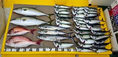 火遠理丸（ほおりまる） 釣果