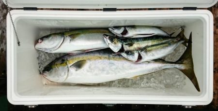 火遠理丸(ほおりまる) 釣果