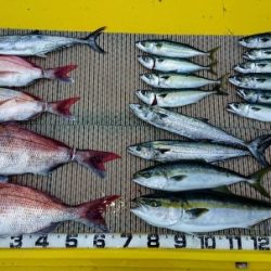 火遠理丸(ほおりまる) 釣果