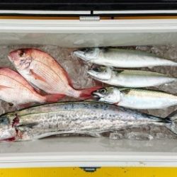 火遠理丸(ほおりまる) 釣果