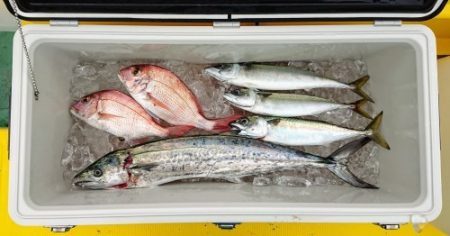 火遠理丸(ほおりまる) 釣果