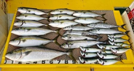 火遠理丸(ほおりまる) 釣果