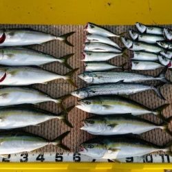 火遠理丸(ほおりまる) 釣果