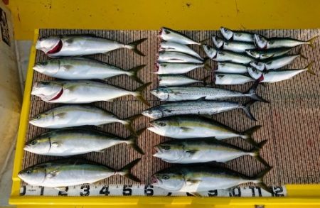 火遠理丸(ほおりまる) 釣果