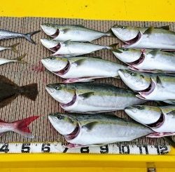 火遠理丸(ほおりまる) 釣果