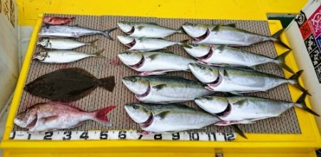 火遠理丸(ほおりまる) 釣果