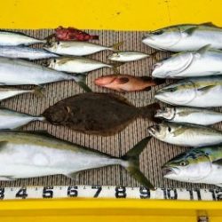 火遠理丸(ほおりまる) 釣果