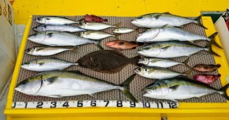 火遠理丸(ほおりまる) 釣果