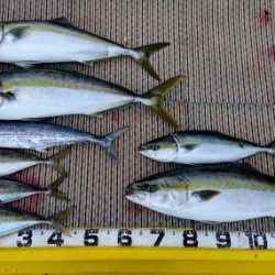 火遠理丸(ほおりまる) 釣果