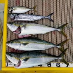 火遠理丸(ほおりまる) 釣果