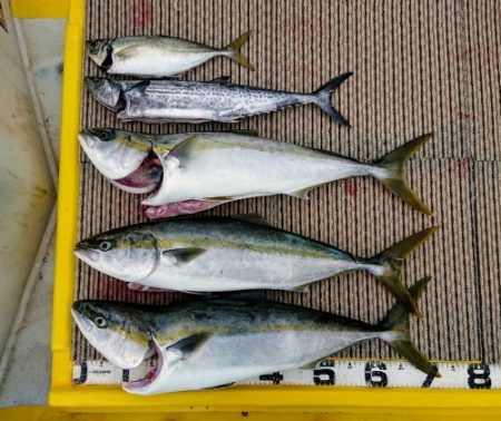 火遠理丸(ほおりまる) 釣果