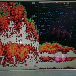 火遠理丸(ほおりまる) 釣果