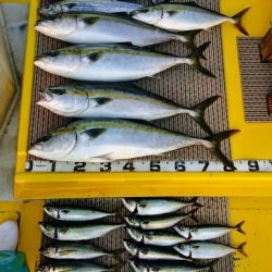 火遠理丸(ほおりまる) 釣果