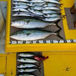 火遠理丸(ほおりまる) 釣果