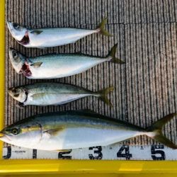 火遠理丸(ほおりまる) 釣果