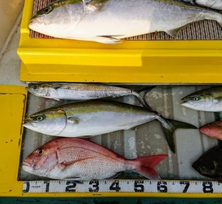 火遠理丸(ほおりまる) 釣果