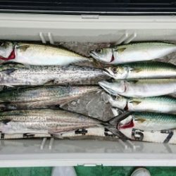 火遠理丸(ほおりまる) 釣果