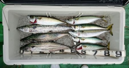 火遠理丸（ほおりまる） 釣果