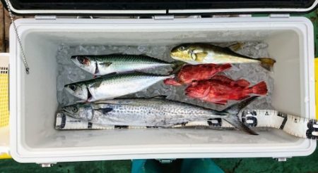 火遠理丸(ほおりまる) 釣果