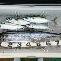 火遠理丸(ほおりまる) 釣果