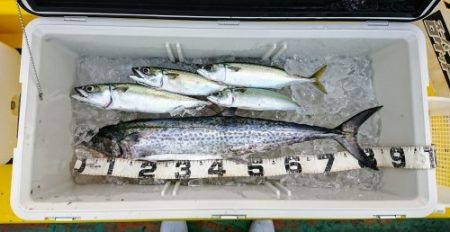 火遠理丸(ほおりまる) 釣果