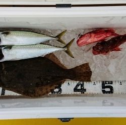 火遠理丸(ほおりまる) 釣果