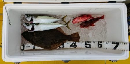 火遠理丸(ほおりまる) 釣果