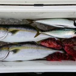 火遠理丸(ほおりまる) 釣果